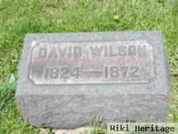 David Wilson