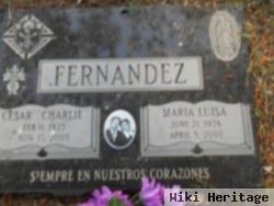 Mrs Maria Luisa Fernandez