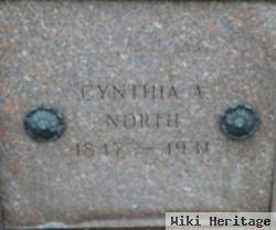 Cynthia A Collins North