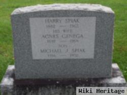 Harry Spiak