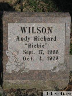Andy Richard Wilson