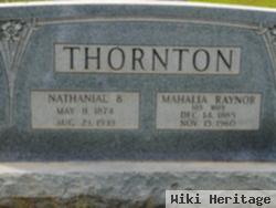 Nathanial B Thornton