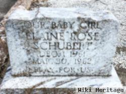 Elaine Rose Schubert