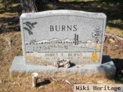 James Ervin Burns