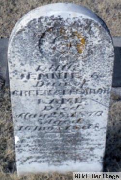 Jennie A. Lamb