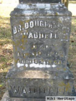 Dr Douglas S Waddell