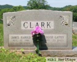 Louise Ann Gately Clark