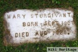 Mary Lee Sturdivant