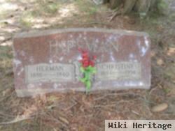 Herman Hipsman