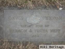 David Vernon Neff