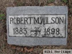 Robert Mays Wilson