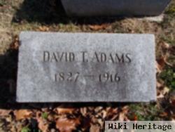 David T. Adams