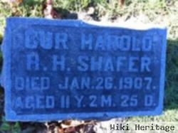 Harold H.h. Shafer