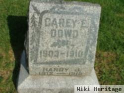 Harry J Dowd