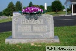 Nancy Ellen Womack Harvey