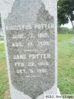 Augustus Potter