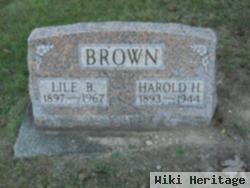 Harold H Brown