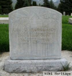 Ann Jane Roskelley