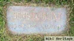 Eugene Allen Flint