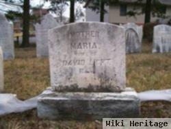 Maria Knoll Light