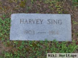 Harvey P Sing