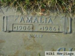 Amalia "molly" Shetina