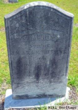 S. Mcroy Matthews