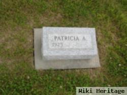 Patricia A Cunningham