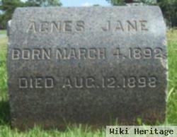 Agnes Jane Taylor