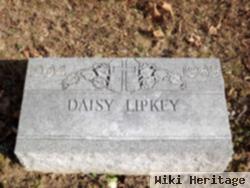 Daisy Lipkey