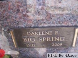 Darlene Elizabeth Mcgillis Bigspring