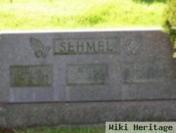 Theodore Albert "ted" Sehmel, Sr