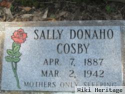 Sally Ann Donaho Cosby