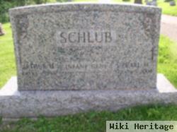 Arthur H Schlub