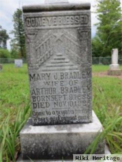 Mary J. Spriggs Bradley