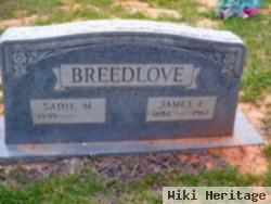 James E Breedlove