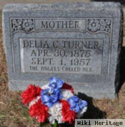 Delia Catherine Moore Turner