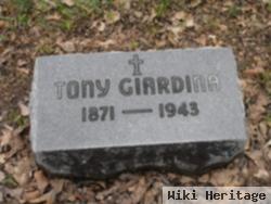 Tony Giardina