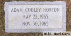 Adam Cooley Horton