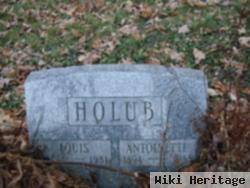 Louis Holub