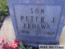 Peter J Fedewa