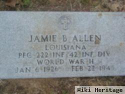 Jamie B. Allen