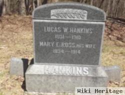 Lucas W Hankins