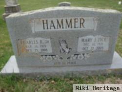 Mary J. Tice Hammer