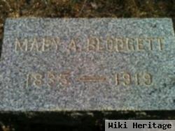 Mary Ann Strong Blodgett