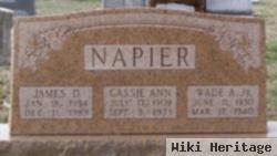 Wade Alexander Napier, Jr