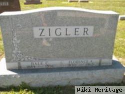 Dale C. Zigler