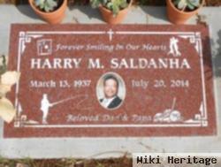 Harry M Saldanha