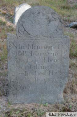 Mary Noyes Billings