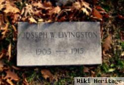 Joseph W Livingston